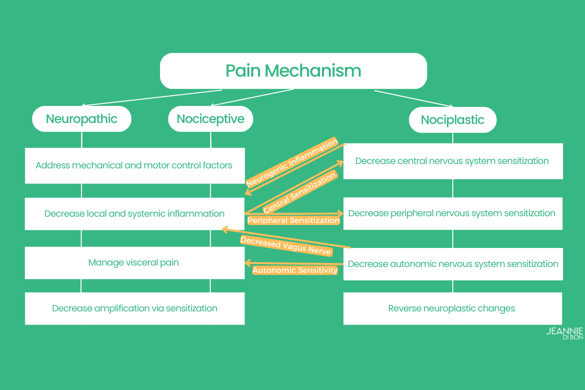 Managing Nociceptive and Neuropathic Pain by Professor Leslie Russek