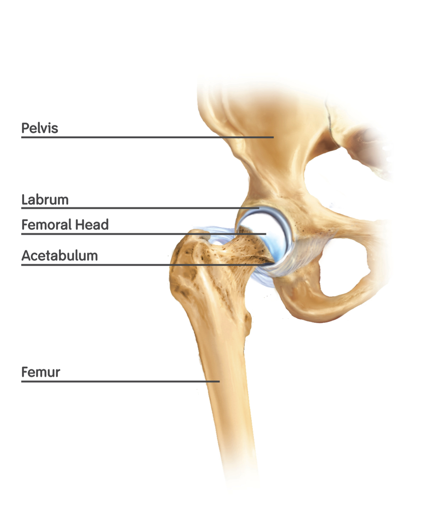 Hypermobile Hips: Symptoms, Signs & How to Manage Them