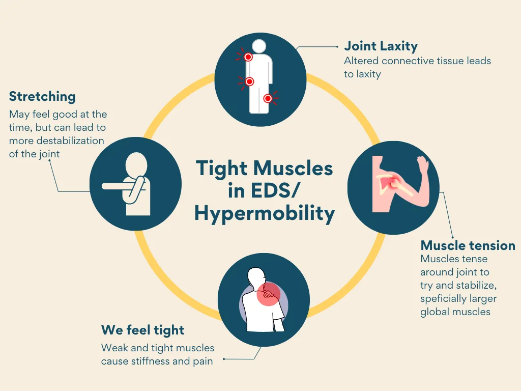 A diagram explaining the cycle of tight muscles in EDS hypermobility. Joint laxity leads to muscle tension which leadst to feeling tight which leads to stretching, which leads to more laxity. 