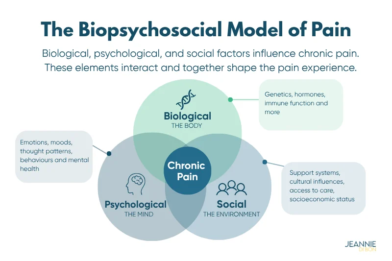 Venn diagram of the biopsychosocial model of pain, showing biological, psychological, and social factors overlapping at chronic pain