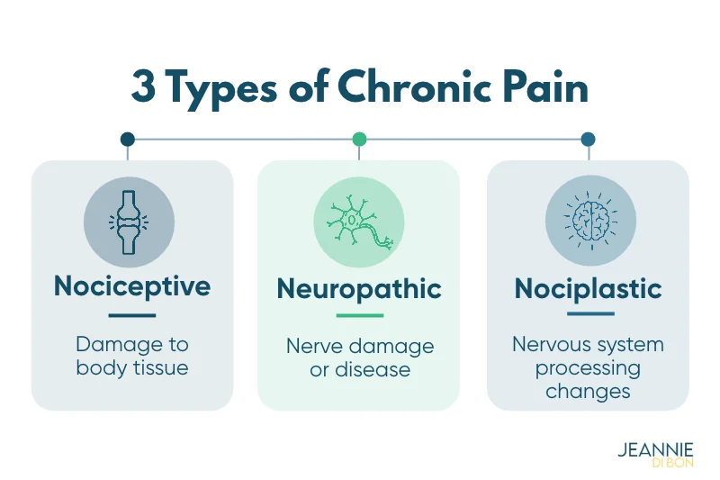 Diagram of the three types of chronic pain: nociceptive (damage to body tissue), neuropathic (nerve damage or disease), and nociplastic (nervous system processing changes)